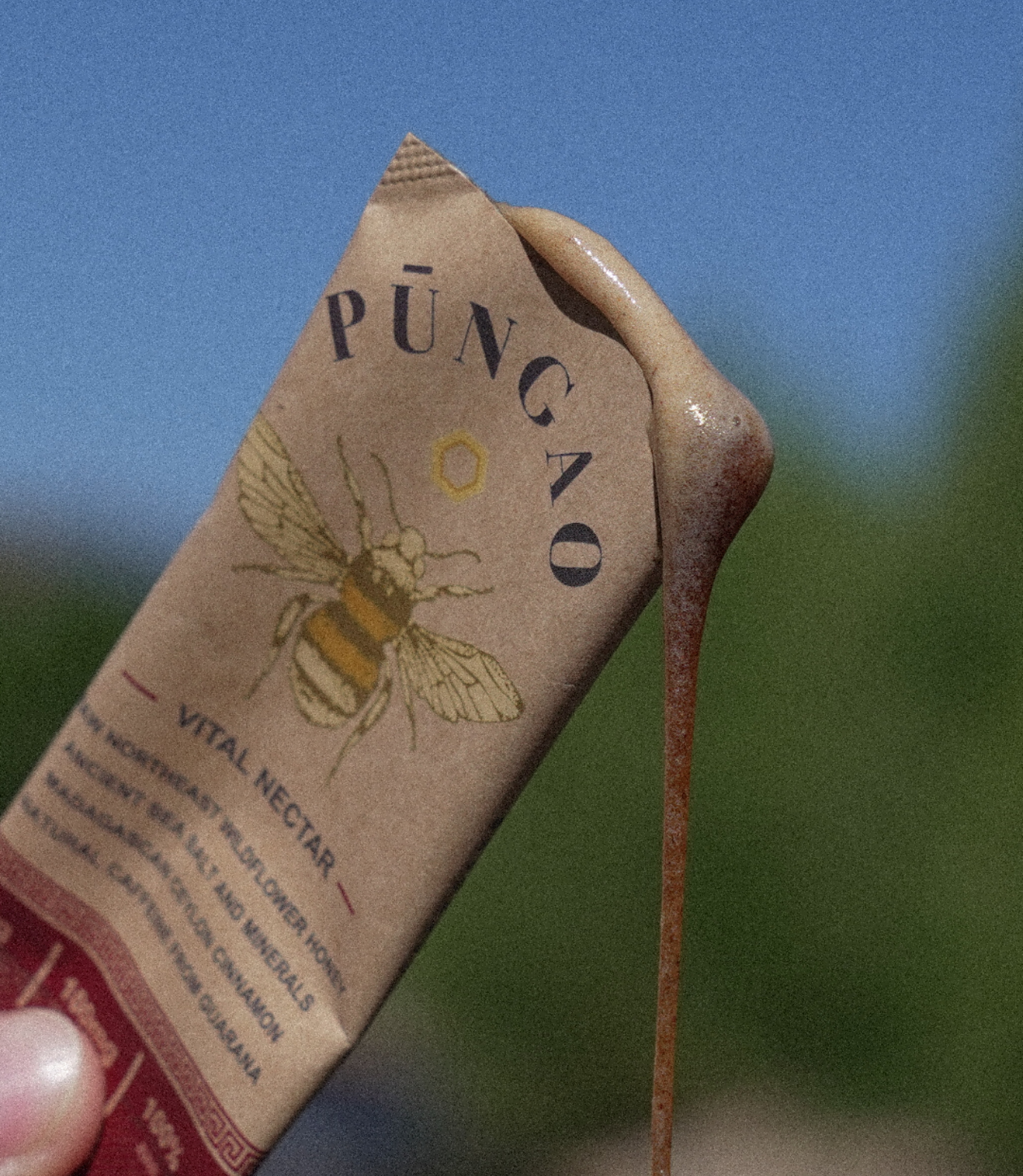 Pungao - Vital Nectar - Raw Honey Pre-Workout