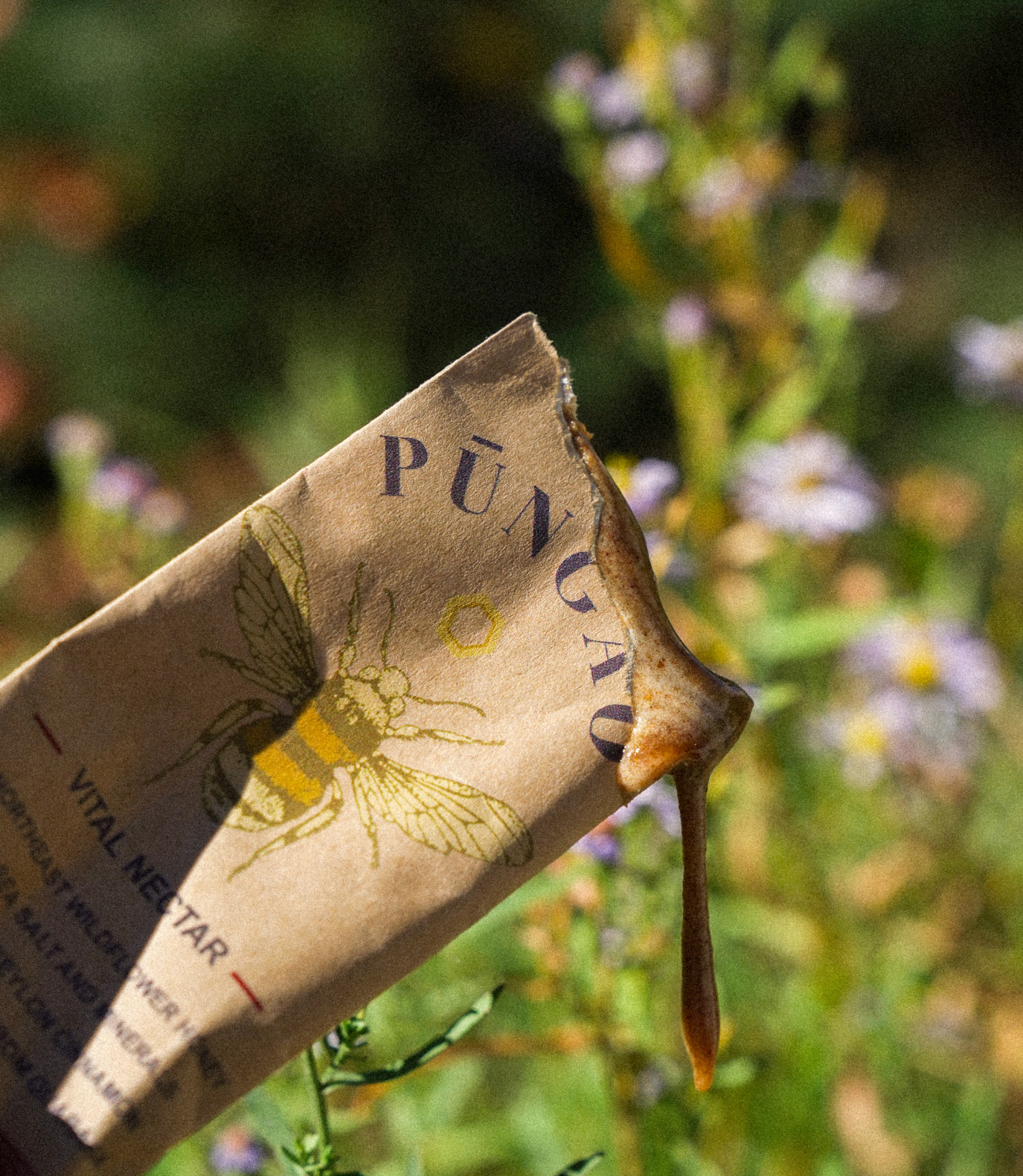 Pungao - Vital Nectar - Raw Honey Pre-Workout