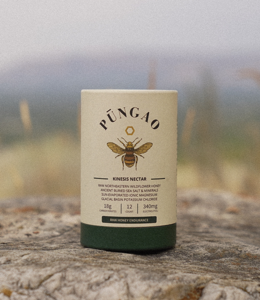 Pungao - Kinesis Nectar - Raw Honey Endurance